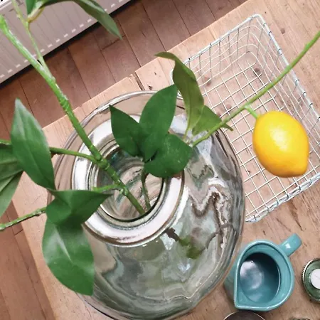 Ferienhaus 3 Bedroom Pet Friendly Home In Leende Leende