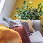 3 Bedroom Pet Friendly In Hébergement de vacances Leende