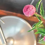 Hébergement de vacances 3 Bedroom Pet Friendly In