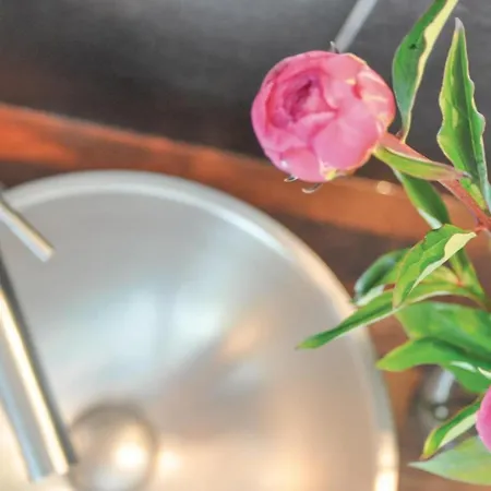 Tatil Evi 3 Bedroom Pet Friendly In